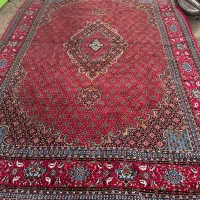 فرس لاکی ۹متری