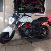 بنلی۳۰۰جفت سیلندر۴۰۴خشک