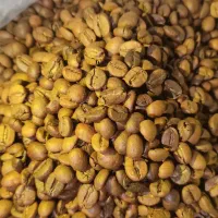 دان قهوه چای کرک چای پسته کاپوچینو|خوردنی و آشامیدنی|رباطکریم, شهرک والفجر|دیوار