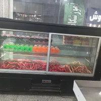یخچال پروتیئنی
