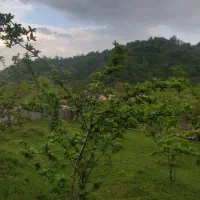 زمین مسکونی دل جنگل با مستثنیات کامل