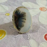 شجر نمونه بی نظیر