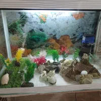 وسایل آکواریوم .به طول ۵۷و عرض ۳۲و ارتفاع۳۶|ماهی|کرمانشاه, |دیوار