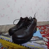 کفش ایمنی کار