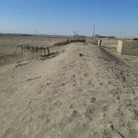 مزرعه میگو|فروش دفتر صنعتی، کشاورزی، تجاری|آبادان, |دیوار