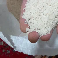 برنج طارم دم سیاه ضمانتی|عمدهفروشی|فاضل آباد, |دیوار