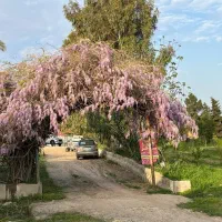 خانه مسافر نیلکوه گلستان|اجارهٔ کوتاه‌مدت آپارتمان و سوئیت|گالیکش, |دیوار