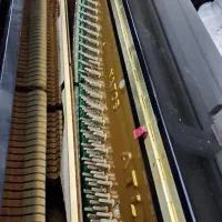 پیانو|پیانو، کیبورد، آکاردئون|شیراز, حومه شیراز|دیوار