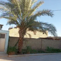 خانه منزل به همراه زمین|فروش خانه و ویلا|حمیدیه, |دیوار