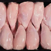 ران.شینسل.فیله مرغ گرم شمال بالاترین کیفیت