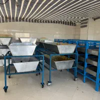 واگذاری کارگاه نبات