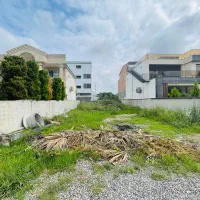 ۲۶۲مترزمین بافت مجوزساخت/سندششدانگ|فروش زمین و ملک کلنگی|تهران, تهرانپارس جنوبی|دیوار