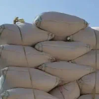 فروش کاه لوبیا کاه گندم درجه یک