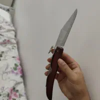 چاقو تاشو نو ۲۵سانتی|کوهنوردی و کمپینگ|قم, انسجام|دیوار