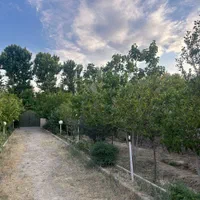 باغ ۷۲۰متری/سند۶دانگ/مناسب ساخت/خیابان پدم|فروش خانه و ویلا|محمدشهر, همایون ویلا|دیوار