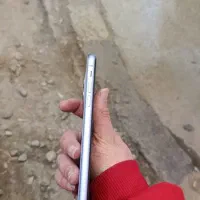 iphone 11|موبایل|فومن, |دیوار