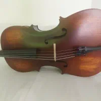 ویلنسل
