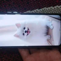 شیائومی Redmi Note 13 با حافظهٔ ۲۵۶ گیگابایت|موبایل|اصفهان, بابوکان|دیوار