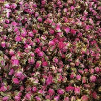 عرضه دست اول غنچه گل محمدی و چای ترش