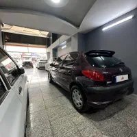 ۲۰۶ تیپ ۲ استثنایی