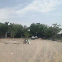 باغ فروشی