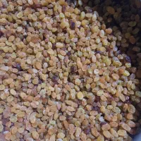 فروش گشمش پلویی|خوردنی و آشامیدنی|شیراز, قدوسی شرقی|دیوار