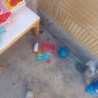 کرسی با المنت|بخاری، هیتر، شومینه|سنندج, |دیوار