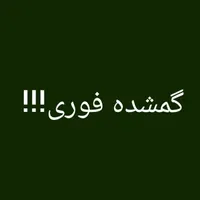 گمشده کیف در ابیک جاده قدیم سمت بیمارستان شهدا