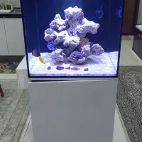 اکواریوم اب شور کامل بدون نور