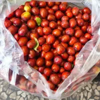 عناب تازه و ترد شیرین