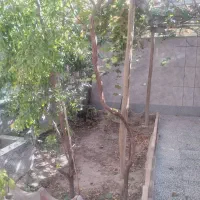 یه خوابه همکف اصفهانک.|اجارهٔ آپارتمان|اصفهان, اصفهانک|دیوار