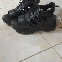 صندل نو اسپرت