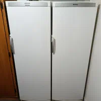 یخچال 2قلو آلمانی