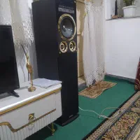 اسپیکردوقلو|سیستم صوتی خانگی|شازند, |دیوار