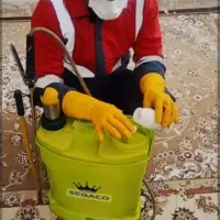 سمپاشی تضمینی وفوری با قیمت مناسب در کل کرج