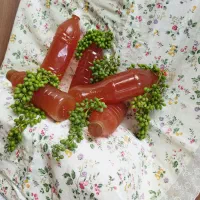 آبغوره کاملا طبیعی بدون نمک و کاملا بهداشتی وسالم|خوردنی و آشامیدنی|شهرکرد, |دیوار