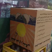 کارتون تخم مرغ|عمدهفروشی|کبودرآهنگ, |دیوار