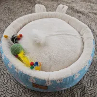 تشک گربه یا سگ به همراه اسباب بازی