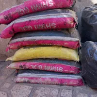 مرغی پلت شده