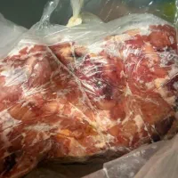 بچه فیله، خرده مرغ