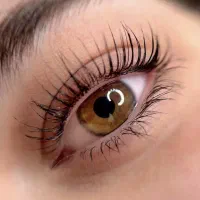 مدل لیفت مژه و ابرو|خدمات آرایشگری و زیبایی|سنندج, |دیوار