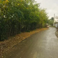 زمین مسکونی دیناچال سند تک برگ با پروانه