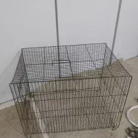 قفس