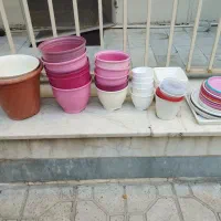 تعدادی گلدان فروشی|گل و گیاه طبیعی|تهران, جیحون|دیوار
