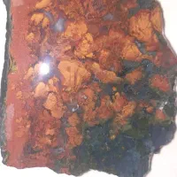 سنگ شجر فوق‌العاده زیبا