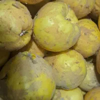 به محلی خوش بو مخصوص خوردن و پذیرایی|خوردنی و آشامیدنی|نجفآباد, شریعتی غربی|دیوار