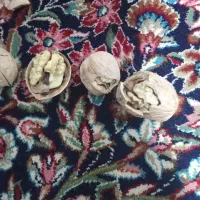 گردو|خوردنی و آشامیدنی|بافت, |دیوار