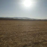 فروش دوتا کودشیمیایی