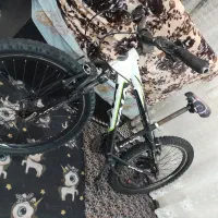 دوچرخه ویوا۲۴