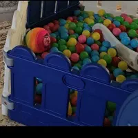 اسباب بازی کودک (استخرتوپ  باهزارتاتوپ و روروک)|اسباب‌بازی بچه|پاکدشت, پاکدشت (مامازند)|دیوار